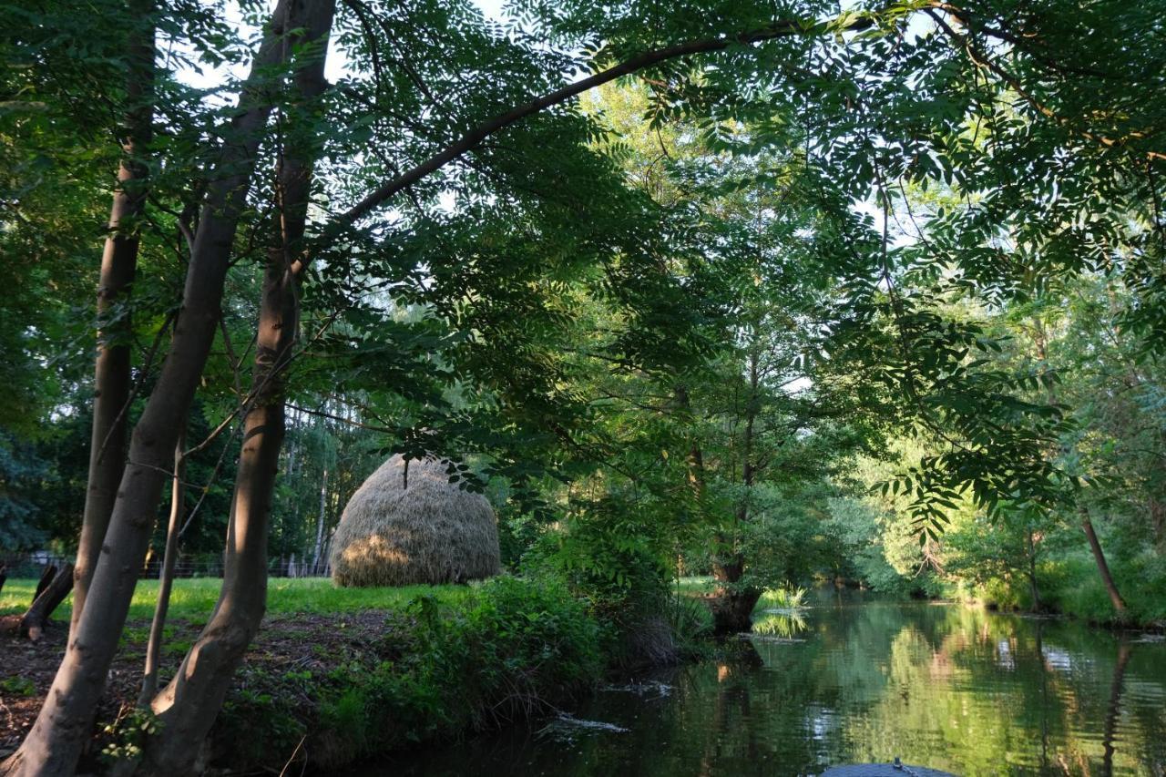 Hofstelle No. 133 Lejlighed Burg im Spreewald Eksteriør billede